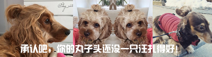 J(rn)^ǲ߀](mi)һֻú